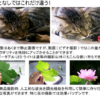 LEDライト　VL-1400C (ACアダプター付) - 画像 (2)