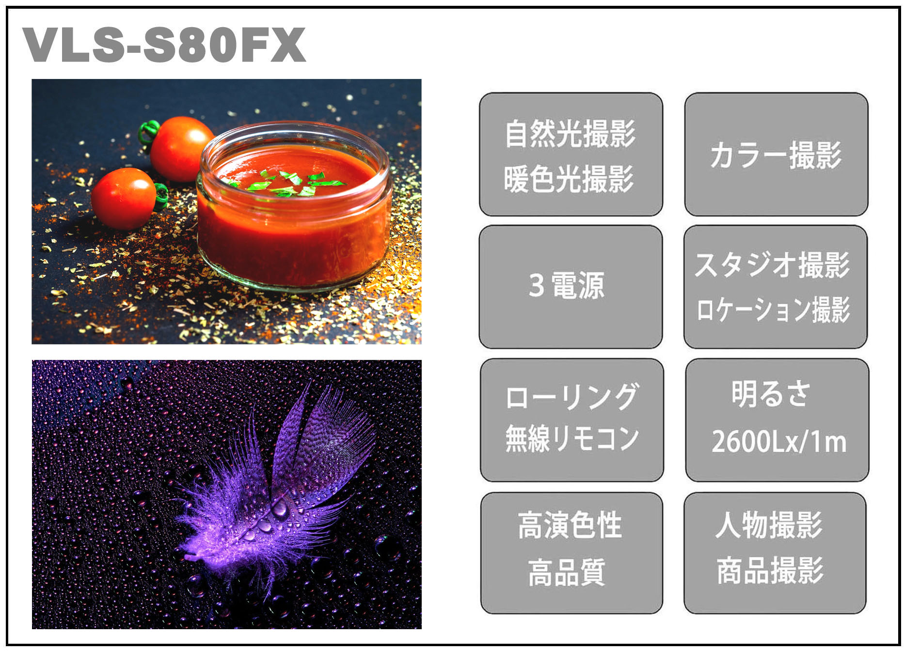 LEDライト　VLS-S80FX